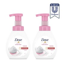 도브 포밍 핸드워시 피치 본품 240ml x 2개, 단품없음