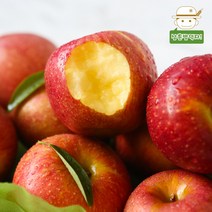 [영동직송] 영동 부사 사과 3kg(12-15과), 단품
