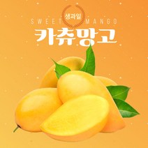 프리미엄 고당도 베트남 카츄망고 3kg 애플망고 골드망고