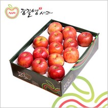 (롯데백화점)(장길영사과) 사과 특대과 5kg(14-16과)