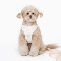 펫펫펫 너랑나랑 강아지 하네스 + 리드줄, 베이지