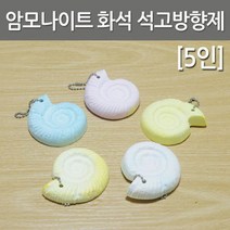 암모나이트 화석 석고방향제(5인)