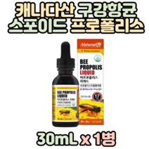 캐나다산 프로폴리스 리퀴드 액상 프로폴리스 30ml 스포이드 플라보노이드 17mg 항산화 구강항균 면역력 proplis