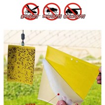 쇼핑나라 대형 초파리 트랩 퇴치법 날파리 하루살이 퇴치 20x25cm 4매