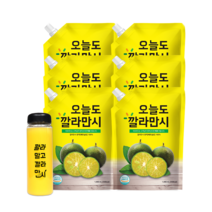 바로푸드 오늘도 깔라만시 원액 + 보틀, 1L, 6세트