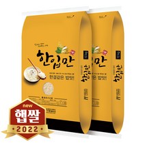 현대농산 2022년 햅쌀 국산 한입만 백미 쌀 20kg (10kgX2봉) 상등급, 단품