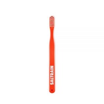 [베스트모음] 솔트레인 칫솔 15g (1개) 203571, 투스브러쉬 레드화이트 (RW)