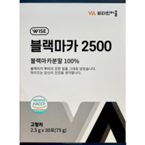 비타민마을 블랙마카 2500 분말 스틱, 75g, 2개