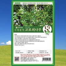 고로쇠나무 씨앗 고로쇠나무 씨 종자 15g