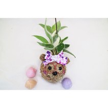 [쩡토피어리]DIY 행잉 토피어리 만들기-곰토피, 1개