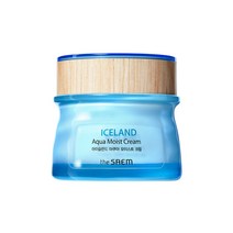 더샘 아이슬란드 아쿠아 모이스트 크림 60ml