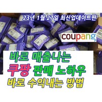1년만에 순수익 1억 벌게한 노하우 알려드립니다. (빠른 발송 + PDF 전자책), 1년만에 순수익 1억벌게한 쿠팡판매노하우