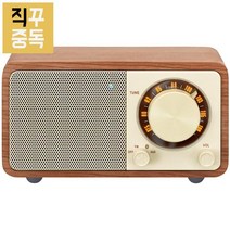 브리츠 레트로 아날로그 휴대용 FM / AM 라디오, BZ-R931