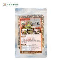 쓰리앤바이오 웃자람 방지 다육이 영양제 알비료 200g