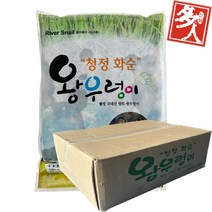 다인 논우렁살 1kg 왕우렁이 우렁쌈밥 우렁이살 냉동 [3990-0] 700g 논우렁살(국내산)총중량:1kg/실중량:700g, [3990-0] 700g 논우렁살(국내산), 1개