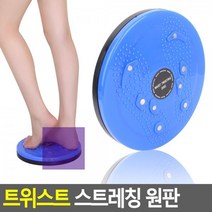 트위스트 스트레칭 돌기발판 360도 회전 원판