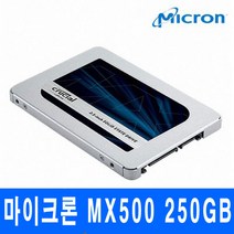 마이크론 Crucial MX500 대원CTS (250GB)