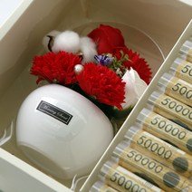 어버이날 카네이션 비누꽃 프리저브드 화분박스, 레드