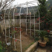 터널형 넝쿨 아치문 장미 아치대문 포도나무지지대 나팔꽃지지대 식물지지대 옥상정원, 검은색 2.4m 폭 2.2m 높이  + 기본개