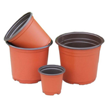 모종 이색 포트 화분(지름 15.5cm), 벤타샵상품선택