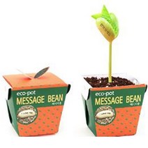 에코팟 메시지콩 식물키우기 화분 정원, 본상품선택, 상세페이지 참조, NONE