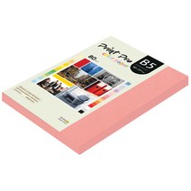 종이문화 프린트프로 칼라복사지 B5 80g No.25 새몬 170매