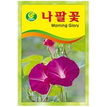 나팔꽃 씨앗 (20립)-꽃씨 키우기 텃밭 야생화 교재용, 단품