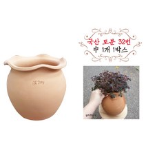 금란의 정원 국산토분 32번 1개