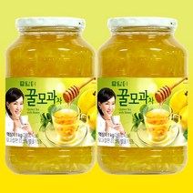 향긋한 모과향 진한 사양벌꿀 가득 담터 꿀모과차 1kg X2개
