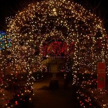 트리전구 500구 50M LED 웜색 야외 방수 나무 줄전구, 1개