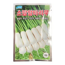 홍반장 무 천사무 알타리무 총각무 달랑무 가을무 종자 빨강무 씨앗