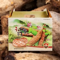 국내산 프리미엄 칡즙 진액 100ml 60포, 120개