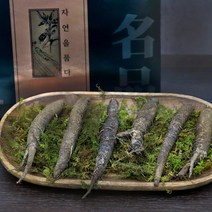 강원도 자연산 산더덕 국내산 100% 토종 햇 더덕 재배 산지직송 300g [9~12뿌리] 사포닌 효능 요리 먹는법 가격