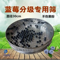 블루베리 수동 선별기 곡식 곡물 13가지 사이즈 10mm 15mm 20mm 등, M  20mm개