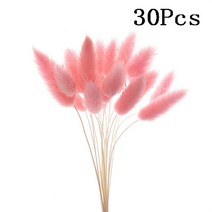 스티커사진기계토끼 꼬리 자연 말린 꽃 팜파스 잔디 뭉치 진짜 꽃다발 사진 소품 플로레스 홈 웨딩 파티 장, [11] L