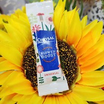 (샤인) 꽃수명연장제 크리잘 10ml 1봉 /모든꽃사용/꽃의 생기를 오래보관/100배 고농축