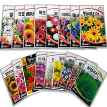꽃 씨앗 허브씨 사계절 다년생 꽃씨 야생화 종자 씨앗 150여종, 01. 겹꽃접시꽃(30립)
