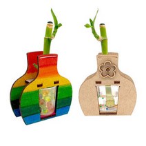 수경재배식물 개운죽 키우기-호리병 RTT