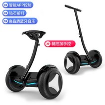 외발 전동휠 관부가세포함 킹송 세그웨이 전기 다리 제어 균형 스쿠터 개폐식 성인 2 륜 스마트 셀프 밸런, 04 36V H L Control-B, 한개옵션1