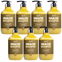 위스티 이미지 향기 좋은 퍼퓸 샴푸 아라로즈 500ml, 7개