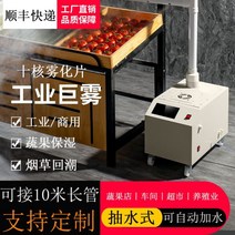 산업용가습기 복합식 가전주파집겸용회전hf 농산물저온저장고 가습기 주파집 공조기가습 무인방제기 대형, SC-C2202(텐코어터치버전듀얼튜브)