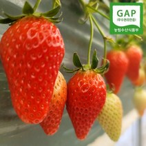 논산 킹스베리 대왕 생딸기 산지직송 GAP 딸기 설향 고당도 왕딸기, 5. 1kg 실속형(25g~30g)