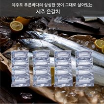 eTV 제주은갈치 특대사이즈 300g x 4마리 분량(총 16토막), 1