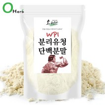 오허브 분리유청단백 분말 가루 WPI 보충제 쉐이크 500g, 1개, 분리유청단백분말500g