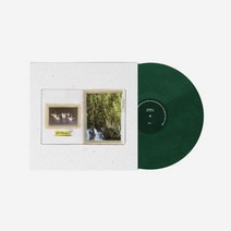 폴킴 피케이앨범 다크 그린 Paul Kim Pkalbum Dark Green l Vinyl & CD l