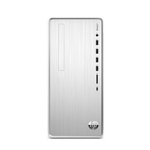HP 파빌리온 데스크탑 TP01-2022KL (라이젠3-5300G WIN10 Home RAM 8GB NVMe 256GB), WIN10 Home, HDD 1TB