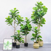 떡갈잎 고무나무 조화(180cm), 상세페이지 참조
