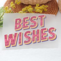 굿팡패브릭 레터링 의류 열전사지]Best Wishes (F069) 티셔츠 전사지 제작