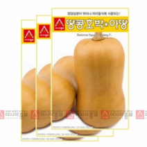 아시아종묘 호박씨앗종자 땅콩호박-아땅 (10립X3)