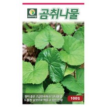 곰취나물씨앗 100립 YN, 없음
